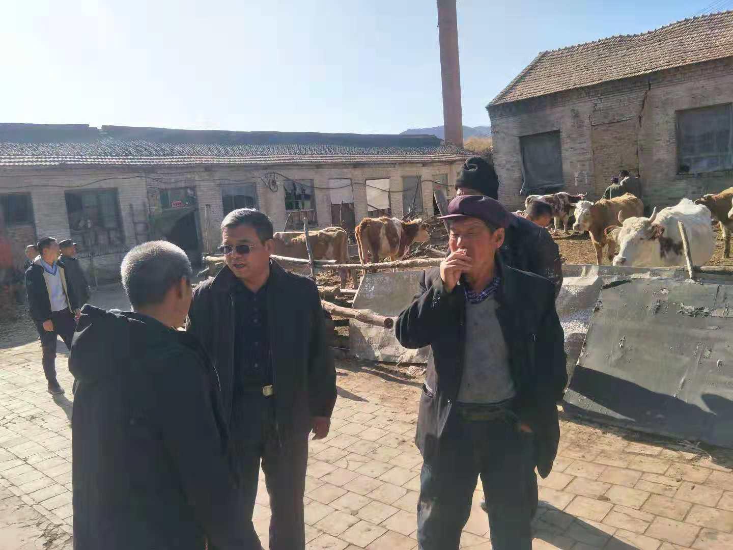 ob电竞·(中国游)电子竞技平台