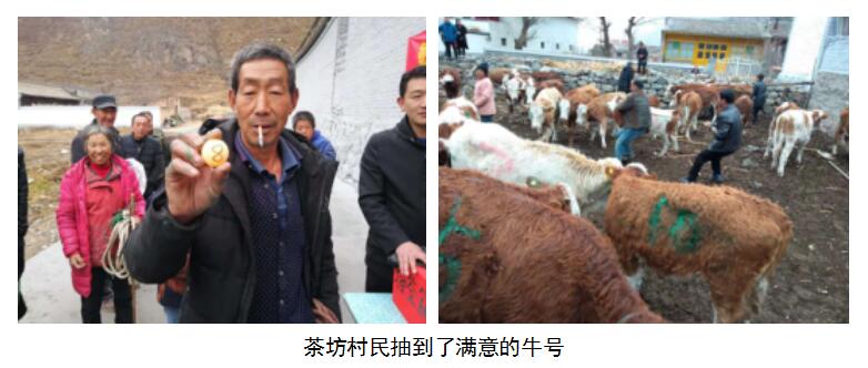 ob电竞·(中国游)电子竞技平台