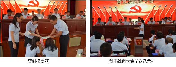 ob电竞·(中国游)电子竞技平台